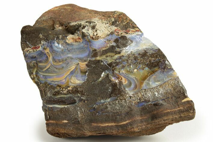 Boulder Opal Specimen - Queensland, Australia #227094